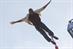 What's the difference between an IT project and bungee jumping?