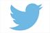 Twitter revenues leap 119% but user growth 'crawls'