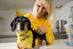 Dogs Trust marketing director Adrian Burder to take top role