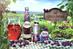 Ribena revives animated blackcurrant characters in �2.5m campaign