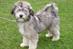 Things we like