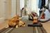 Diary: Pick of the Week - AMV BBDO/EDF Energy