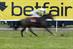 WCRS scoops £15m European Betfair ad account