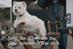 Cesar '4 TV sponsorship idents' by AMV BBDO