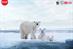 Coca-Cola ties with WWF for polar bear CSR campaign