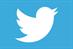 Twitter ad revenues to hit $1bn next year