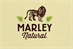 Bob Marley fronts 'Marley Natural' global cannabis brand