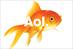 AOL launches paid-for service tracking children's online activity