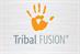 Tribal Fusion boosts targeting ability with BlueKai data