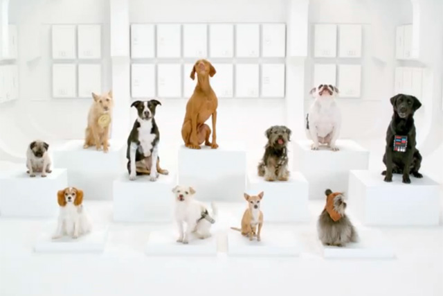 VW: 'the bark side' becomes this week's most shared viral