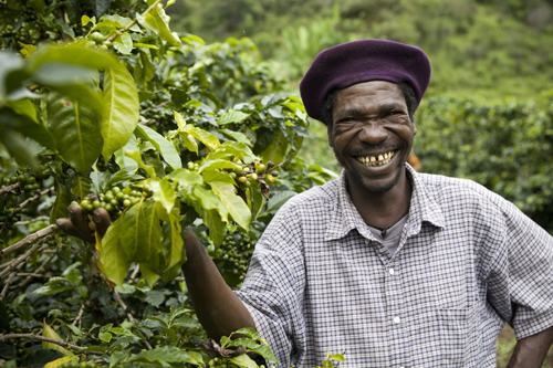 Fairtrade International: appoints Inferno