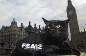 Black cats... unlucky