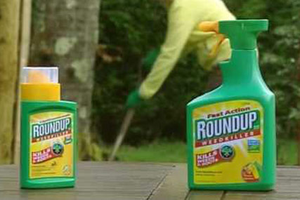 Roundup…pitch began in November