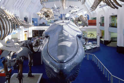 UK museums...looking for media agency