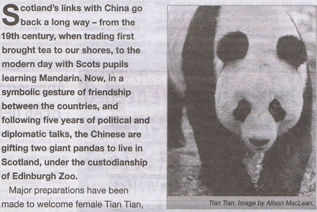 Scottish Government: panda ad is rapped by the ASA