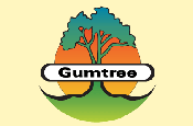 Gumtree...Albion appointed without a pitch