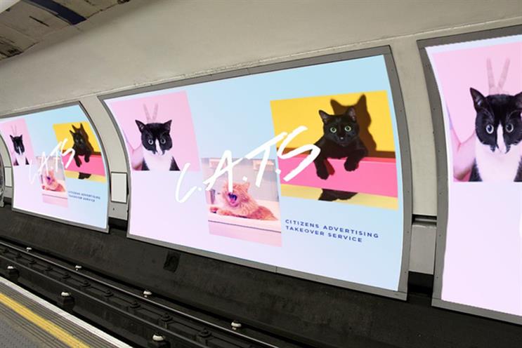 The campaign is looking for £23,000, which will buy a whole platform of ads