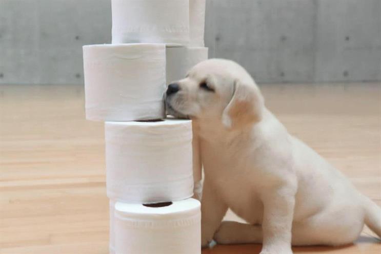 Andrex....JWT London's ad duties are unaffected by the review