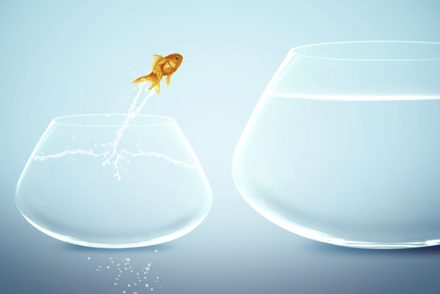Those who take the risks are the ones that get ahead