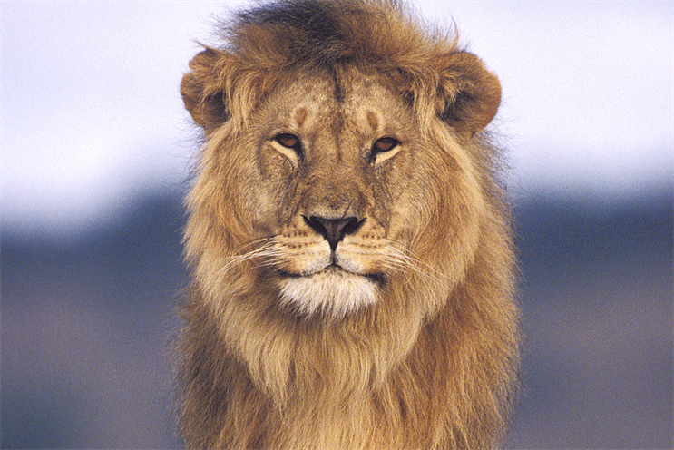 Agencies line up for South African Tourism