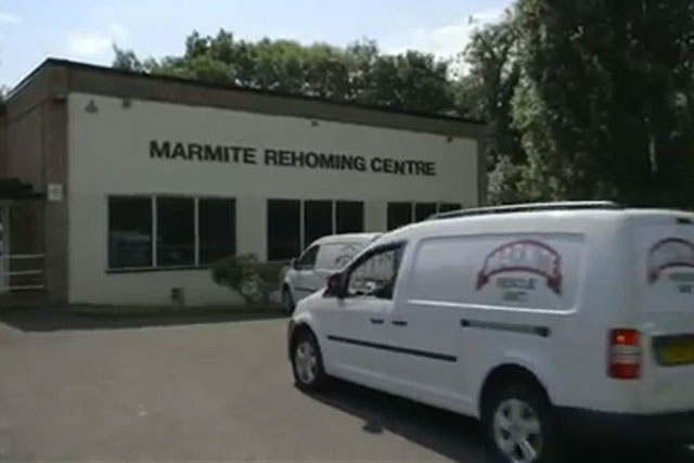 Marmite: rescue ad cleared by the ASA