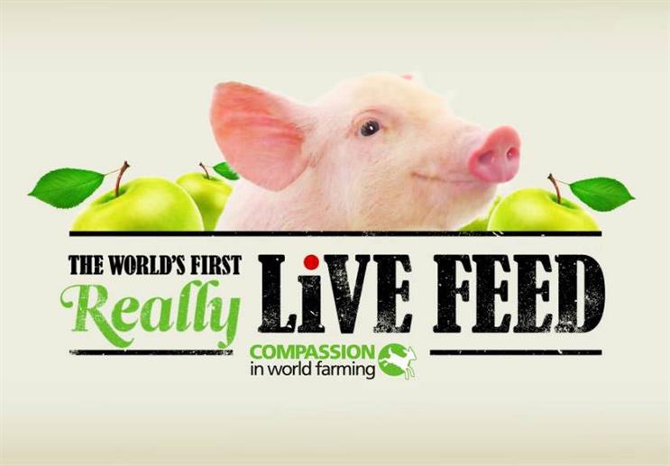 From the idea to the big screen: "The World's First Really Live Feed"