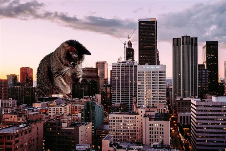 Los Angeles will be one of five cities to see ads replaced by cat pictures
