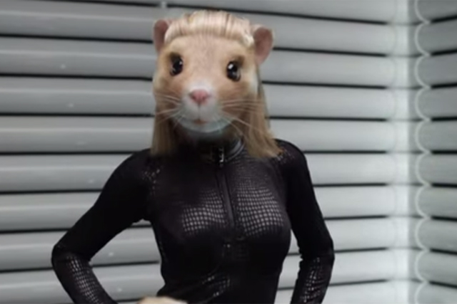 Kia: shapely lady hamsters are a new addition to the ad series