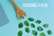 Florette launches £600,000 baby kale campaign