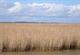 Norfolk turbine High Court fight begins
