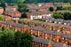 Arboriculture - The value of trees