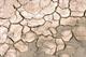 Landscaping and turf businesses win hosepipe ban exemption