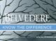 Belvedere ad banned for suggesting alcohol leads to a better night out