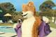 Foxy Bingo exposes all in new ad