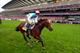 Ascot hires Antidote to build year-round appeal
