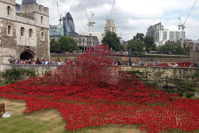 Poppies: picture was snapped by tweeter @tudorgurl