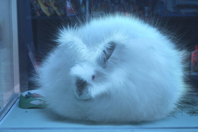 HTC: Mother handles the brand's creative work