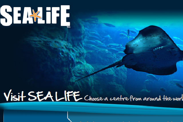 Sea Life: appoints McCann Bristol for global TV campaign