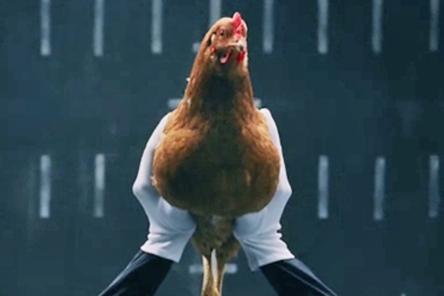 Mercedes ad with chickens #3