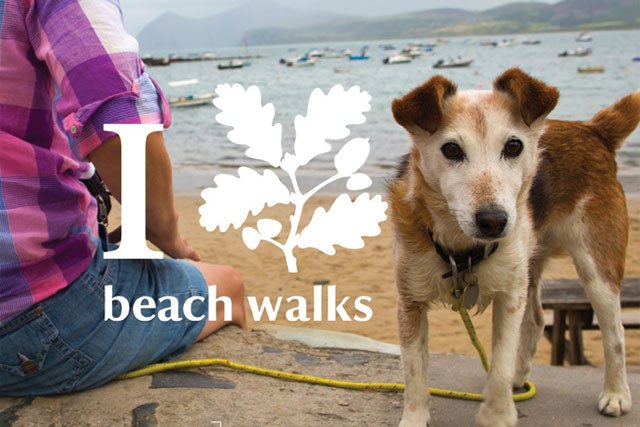 The National Trust: work by 18 Feet & Rising