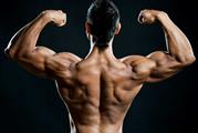 You Don't Have To Be A Big Corporation To Start bodybuilding .com coupons