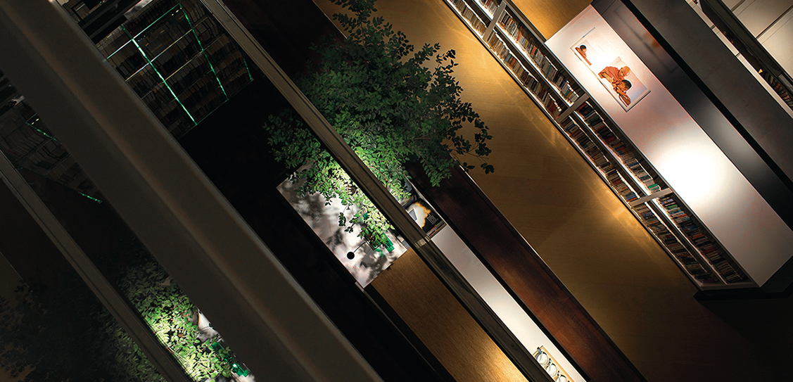 Licht. Associates Limited