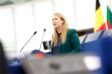Rapporteur on permitting drops ‘acceleration privileges’ for priority sectors