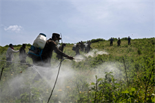 Commission still ‘exploring options’ for addressing EU exports of banned pesticides