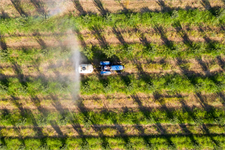 Commission extends approval of endocrine-disrupting PFAS pesticides