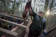EU urged to follow British ban on lead in ammunition
