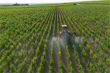 Member states agree on ‘simplifications’ to EU pesticide rules