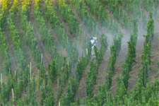 ‘Forever chemicals’: EU agencies start joint investigation into TFA pollution