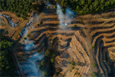 EU excludes wood and palm oil ‘waste’ from anti-deforestation law
