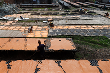 EUDR: Commission accused of trying to ‘dress up’ decision to exclude leather